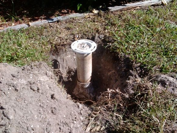 wall of shame sarasota