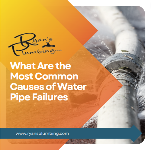 sarasota best plumber